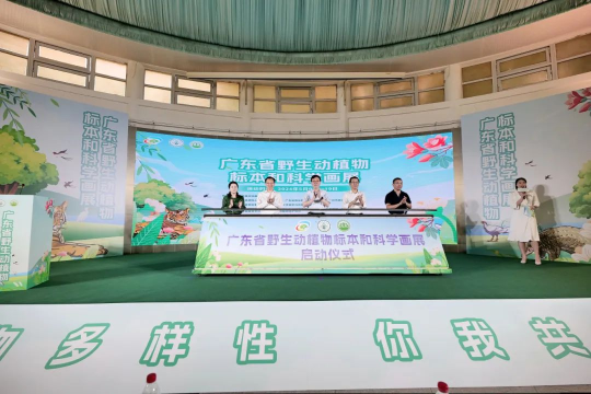 为期10天！广东省野生动植物标本和科学画展举办
