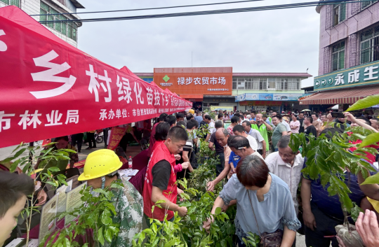 肇庆在高要区禄步镇“乡村绿化 苗技下乡”系列活动。肇庆市融媒体中心记者 林琳 摄 苗技下乡”系列活动。肇庆市融媒体中心记者 林琳 摄 苗技下乡”系列活动。肇庆市融媒体中心记者 林琳 摄