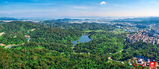 汕头潮阳西环山森林公园（通讯员供图）