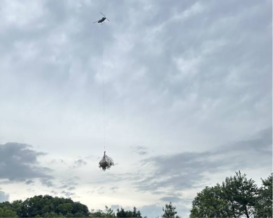 防治人员利用无人机将初步消杀处理的松材线虫病疫木转运至粉碎点。通讯员供图，下同。