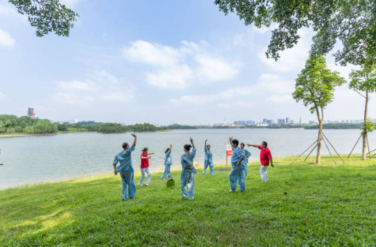 东莞市松山湖科学郊野公园绿美示范点