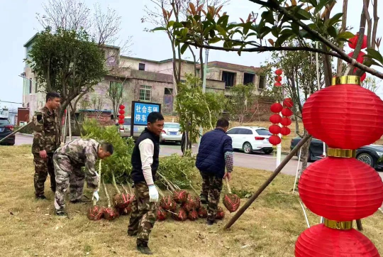 连州送苗木下乡深化乡村绿化行动。