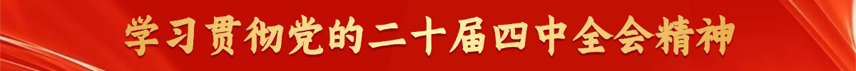学习贯彻党的二十届四中全会精神