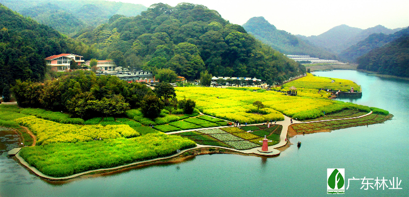 3.航拍石门天池油菜花--邬影红_副本.jpg