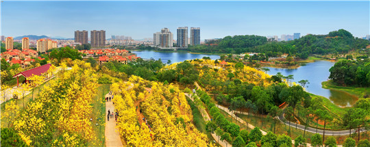 微信图片_20200318160858.jpg