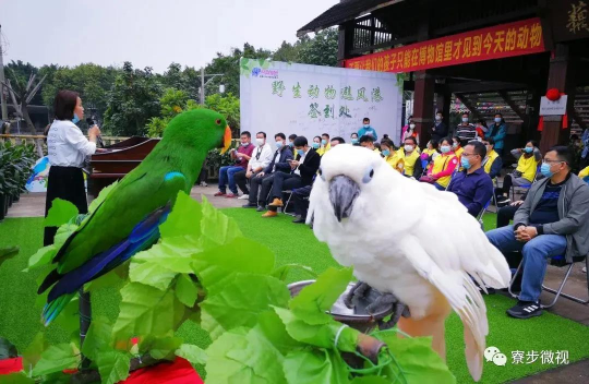 微信图片_20200426173303.jpg