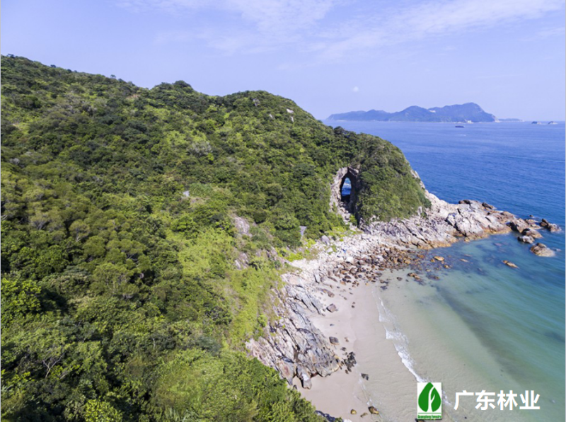 海岸森林(大鹏半岛地质公园东涌穿鼻岩)