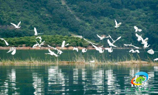 镇江镇湿地公园。