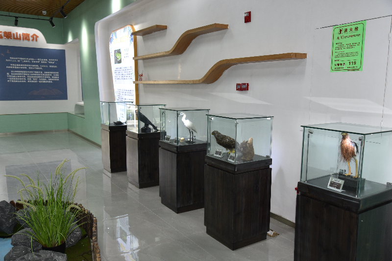 标本展示柜3.JPG