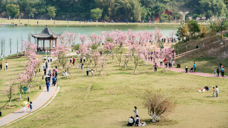 西宁湖3.jpg