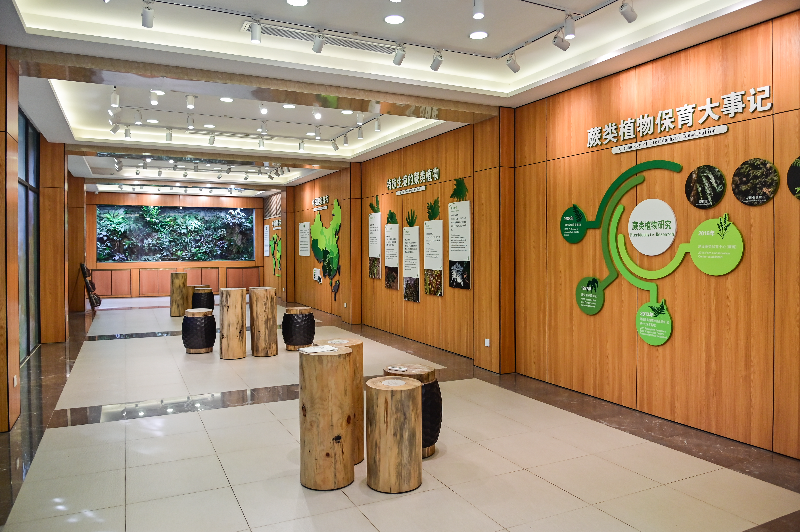 蕨园科普展馆1.jpg