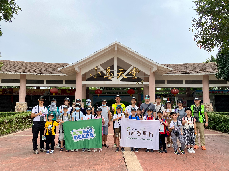 广东新会小鸟天堂国家湿地公园  (1).jpg