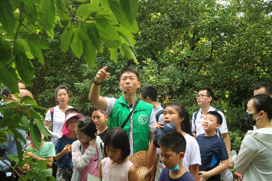 佛山植物园7.18户外观察昆虫.JPG