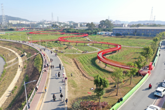 已编辑图片
