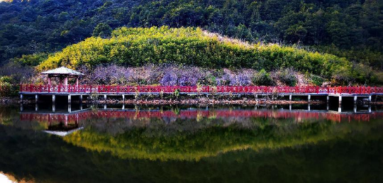 流溪河林场图片