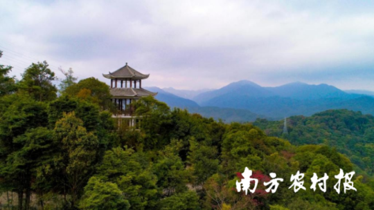 受访者供图