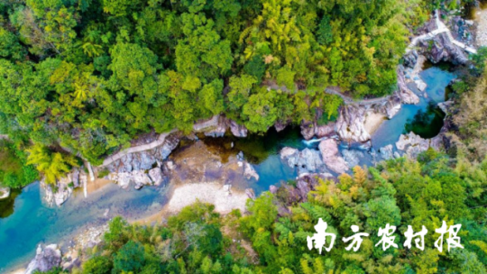 受访者供图