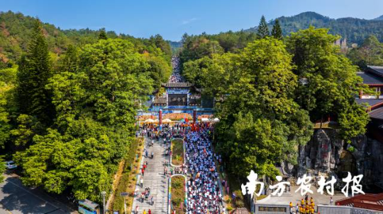 清远阳山大力发展森林旅游、林地运动等“旅游+”新业态。冯国志 摄
