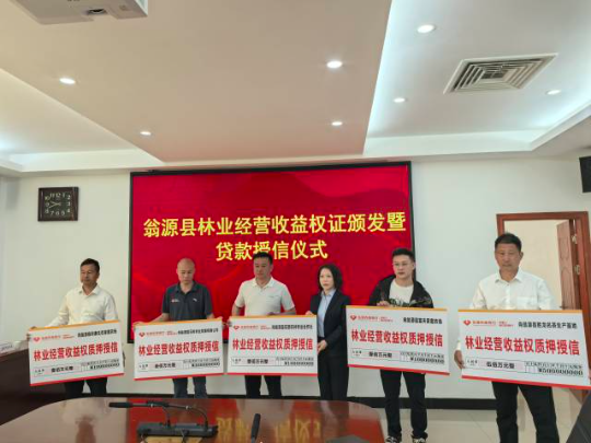 银行为企业发放贷款授信  