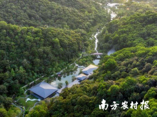 云溪植物园