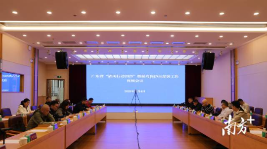 广东省“清风行动2025”暨候鸟保护再部署工作视频会议。