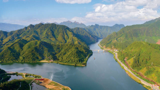 北江两岸公益林
