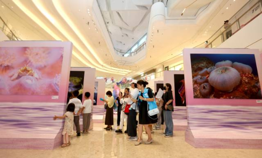 精彩的摄影作品吸引众多市民带着小朋友前来参观。 