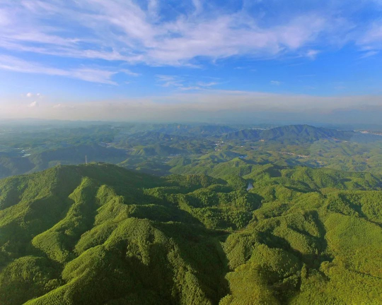 林涛云涌（云勇林场、森林公园）.jpg
