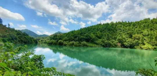 广东潮安凤凰山省级自然保护区。