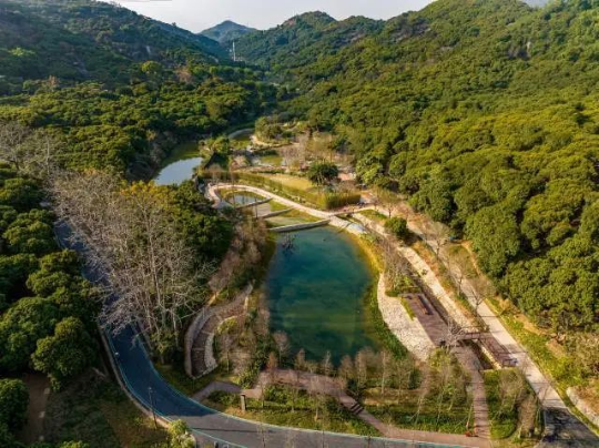 萤灯碧苑节点将打造为萤火虫保护试点区