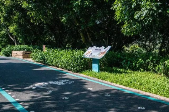环西丽湖绿道将绿道上出现的物种以科普标识牌、路面方式方式进行科普