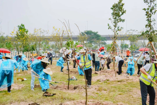 2023年种植红树现场.jpg