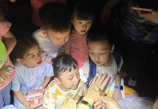 动物园奇妙夜&nbsp; 