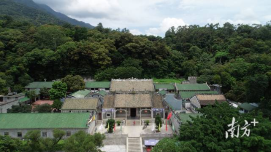 广东省“冲虚古观·古九里香”入选第一批“国保单位·古树名木”协同保护名单。