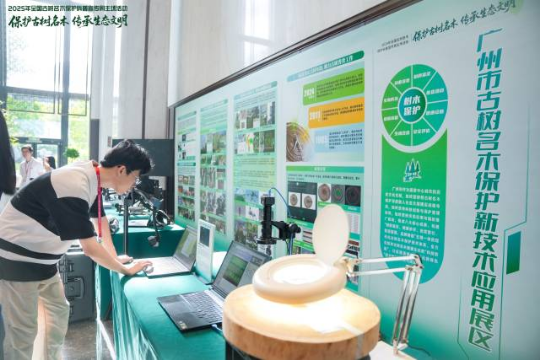 全国古树名木保护科普宣传周主场活动在广州举办。